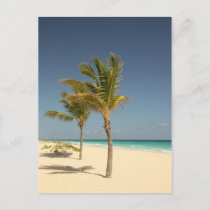 Cartão Postal Praia Tropical da República Dominicana