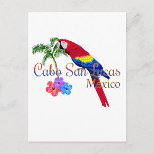 Cartão Postal Praia Tropical de Cabo San Lucas