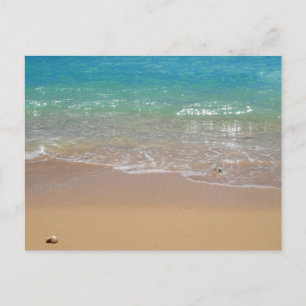 Cartão Postal Praia Tropical - Waikiki, Oahu, Havaí