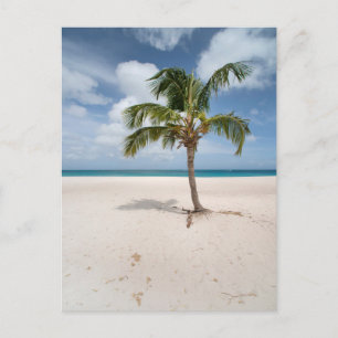 Cartão Postal Praias Tropicais Praia de Eagle, Aruba