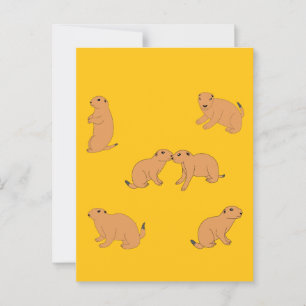 Cartão Postal Prairie Dogs