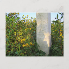 Cartão Postal Prairie Gravestones, Cemitério de Bigelow, Ohio