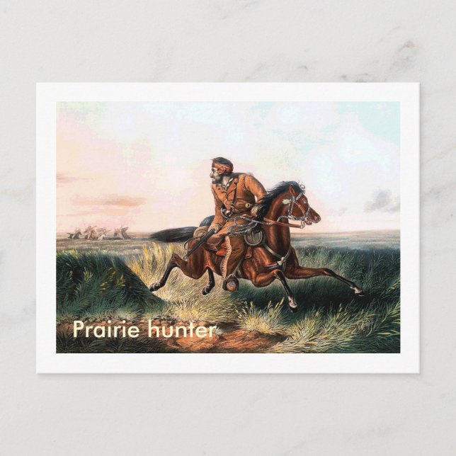 Cartão Postal Prairie Hunter (Frente)