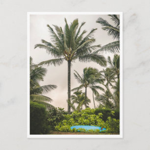 Cartão Postal Prancha de Surf sob uma Palmeira Praia Hanalei Kau