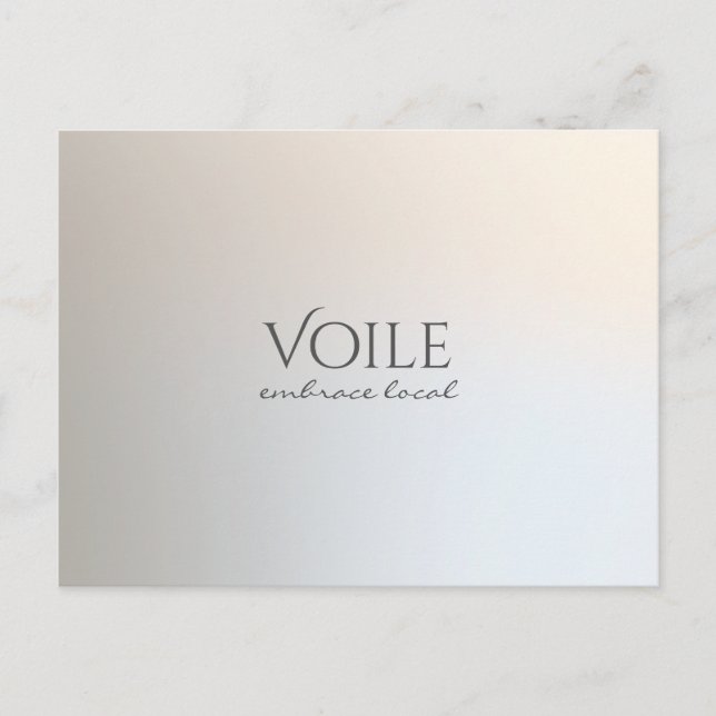 Cartão Postal Prata Luminosa Profissional Minimalista Moderna (Frente)