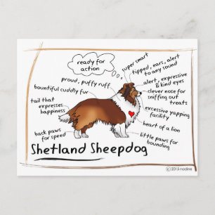 Cartão Postal Prateleira de desativação