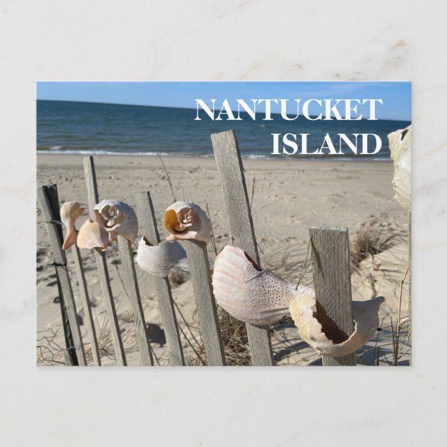 Cartão Postal Prateleiras Nantucket em um Cartão-postal de cerca (Frente)