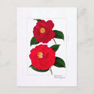 Cartão Postal Prato Camellia: Hijirimen & Suzukayama