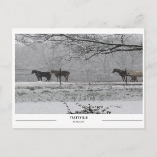 Cartão Postal Prattville Alabama