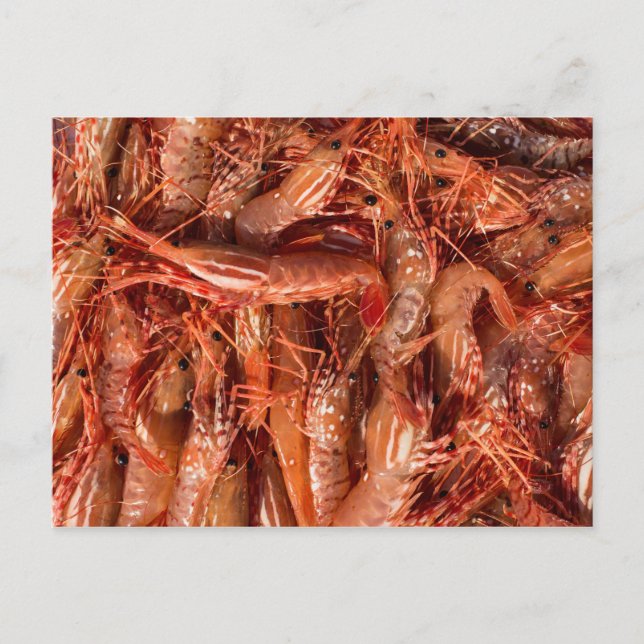 Cartão Postal Prawns Deliciosos (Frente)