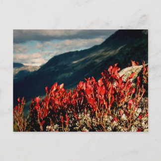 CARTÃO POSTAL PRAYER