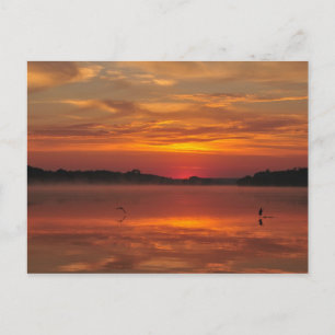 Cartão Postal Precioso de manhã, sol laranja no lago