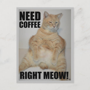 Cartão Postal PRECISO DE CAFÉ AGORA! Gato Manx Sentado Engraçado