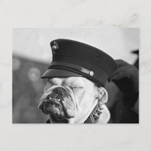 Cartão Postal Preciso de uma soneca: 1923