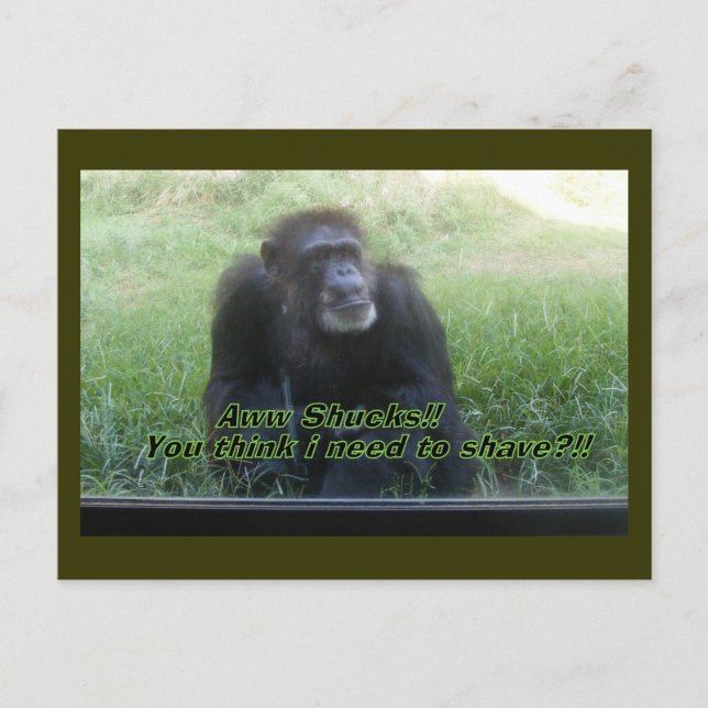 Cartão Postal Preciso me barbear? (Frente)