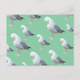 Cartão Postal Preening Gull Pattern, Estilo Escrito em Verde.