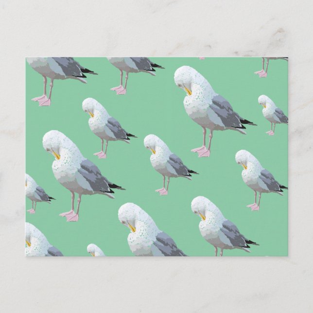 Cartão Postal Preening Gull Pattern, Estilo Escrito em Verde. (Frente)