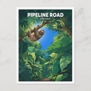 Cartão Postal Preguiça na Pipeline Road Floresta Tropical Gamboa