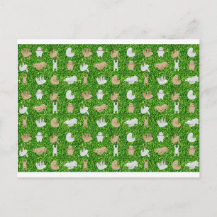 Cartão Postal preguiças engraçadas