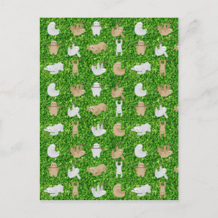 Cartão Postal preguiças engraçadas