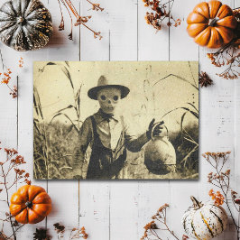 Cartão Postal Preguiçoso Esqueleto no campo do milho