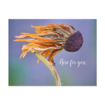 Preocupação com Cuidado Sentimento Aqui para Você