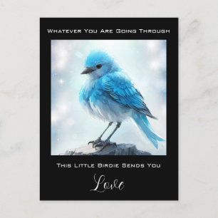 Cartão Postal *~* Preocupação de cuidado com Bird Azul Detalhada