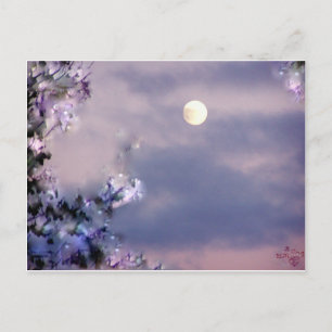 Cartão Postal Presente da antena