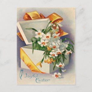 Cartão Postal Presente Daffodil Jonquil