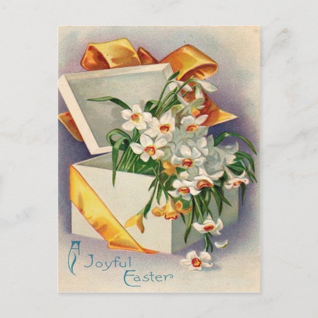 Cartão Postal Presente Daffodil Jonquil (Frente)