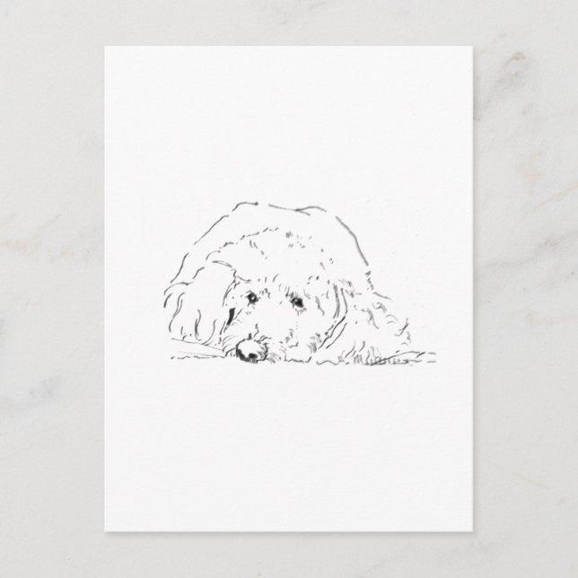 Cartão Postal Presente de Filhote de Cockapoo, Ideias de Present (Frente)