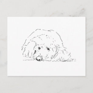 Cartão Postal Presente de Filhote de Cockapoo, Ideias de Present
