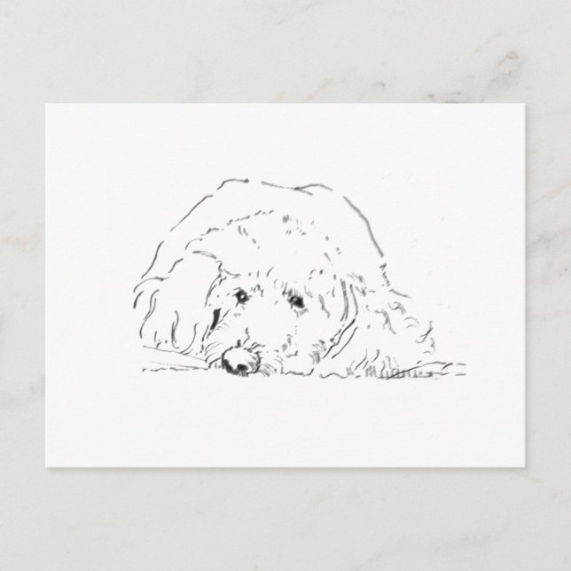 Cartão Postal Presente de Filhote de Cockapoo, Ideias de Present (Frente)