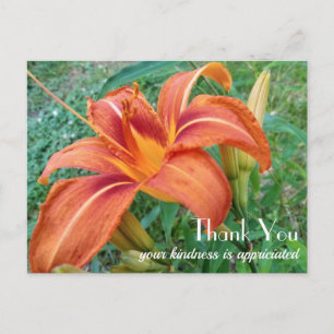 Cartão Postal Presente de Flor de Lírio Laranja Obrigado 
