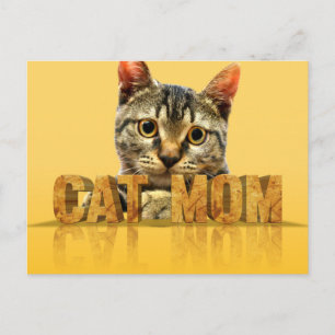 Cartão Postal Presente de mãe de gato   camiseta de mãe de gato 