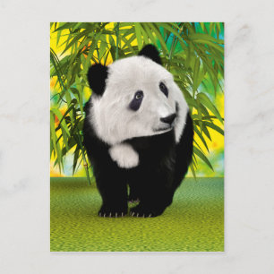 Cartão Postal Presente de Urso Panda Fofo Kawaii para Amantes de