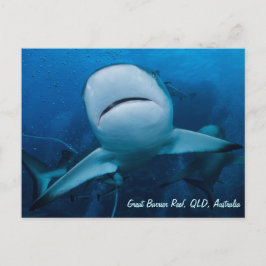 Cartão Postal Presente no Mar de Coral de Recife com barreira de