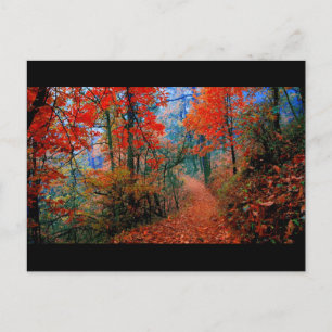 Cartão Postal Presentes De Aquarelas De Cores De Cama De Outono