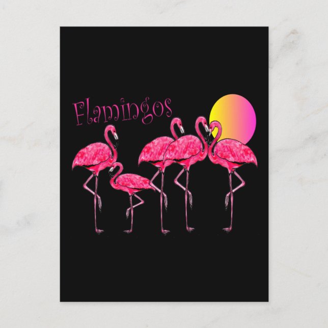 Cartão Postal Presentes de Arte de Flamingo Tropical (Frente)