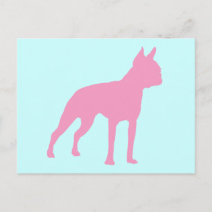Cartão Postal Presentes de Cachorro de Terrier Boston rosa