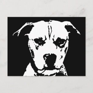 Cartão Postal Presentes de Pitbull - Cartão-postal