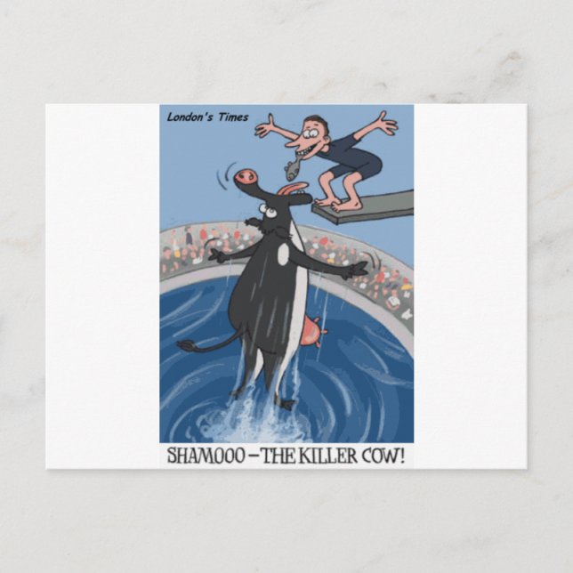 Cartão Postal Presentes e Coleções Engraçados Shamooo (Frente)