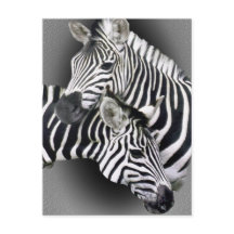 Presentes Engêmeos Zebra