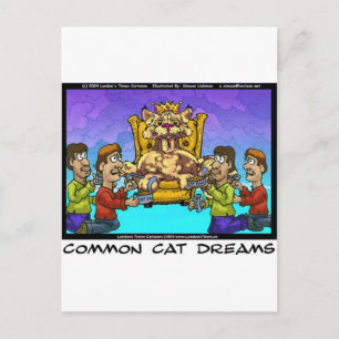 Cartão Postal Presentes Engraçados de Sonhos de Gatos Comuns Cam