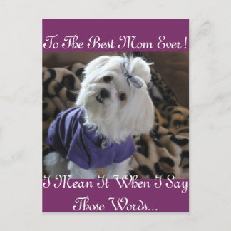 Cartão Postal Presentes Malteses