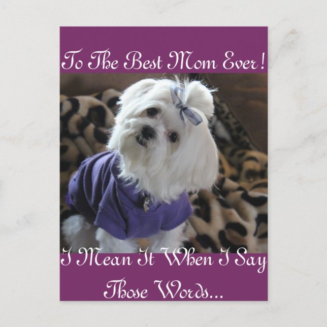 Cartão Postal Presentes Malteses (Frente)