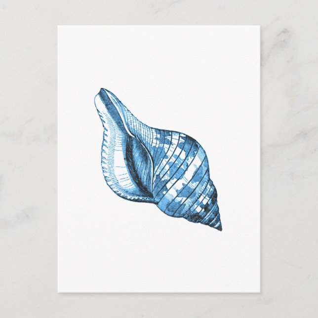 Cartão Postal Presentes náuticos costeiros com casca azul (Frente)