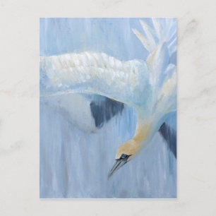 Cartão Postal Presentes originais de mergulho de Gannets para