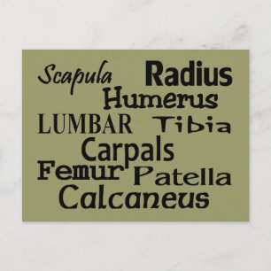 Cartão Postal Presentes Ortopédicos/Médico Cirurgião