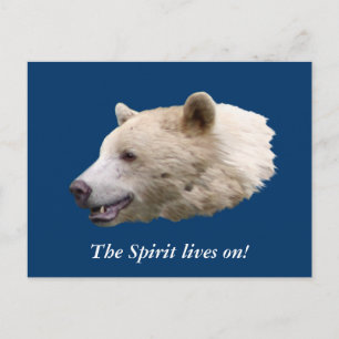 Cartão Postal Presentes "Urso Espírito"